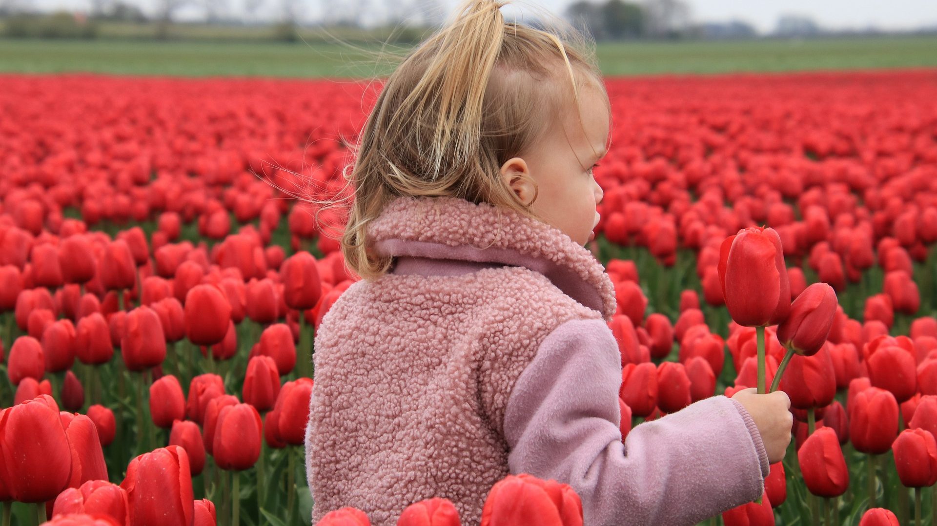 Holanda Países Bajos con niños