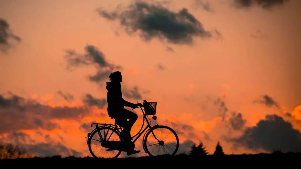 Comprar Bicicleta en Holanda