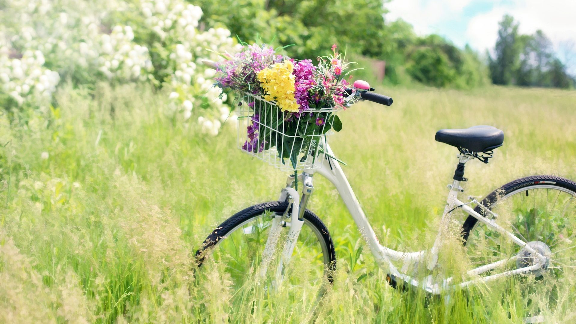 Comprar Bicicleta en Holanda